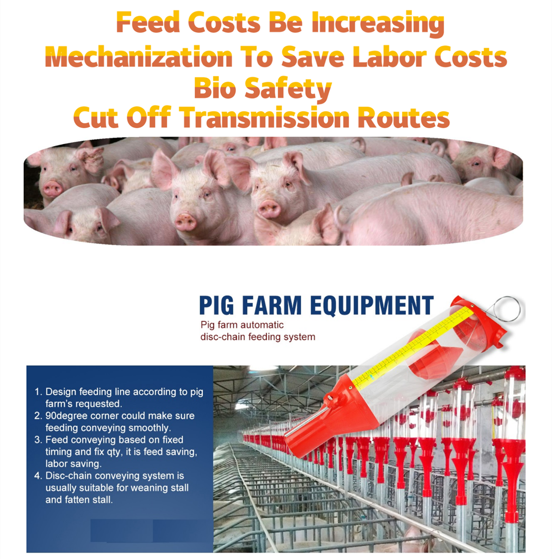 auto pig feeding system (5)